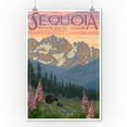 thumbnail image 2 of Sequoia National Park, California, Spring Flowers (9x12 Wall Art Print, Home Decor), 2 of 3