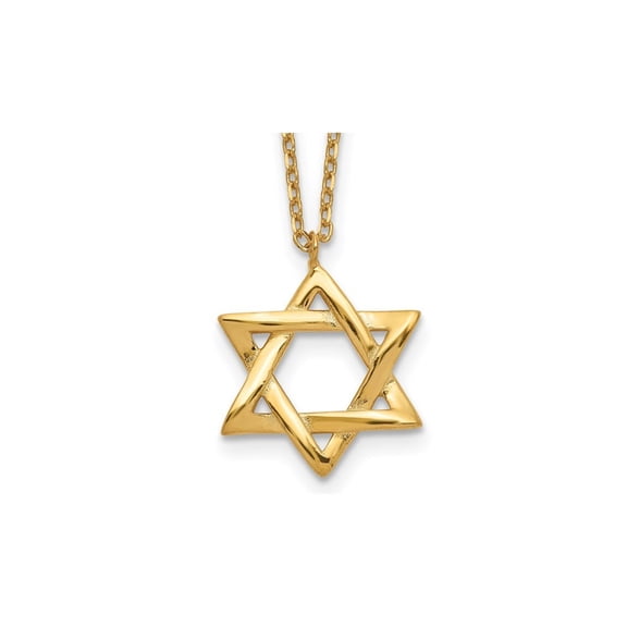 Yellow Plated Sterling Silver Star of David Pendant Necklace with Chain (16.5 inches) for Men