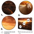 thumbnail image 3 of Designart "Sheep form At Sunrise" Animals Canvas Art Print, 3 of 5