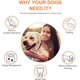 thumbnail image 2 of Juguetes para perros, juguetes para masticar, juguetes para perros masticadores fuertes, juguetes de anillo, juguetes de entrenamiento indestructibles, juguetes para limpiar los dientes, 2 of 5