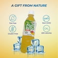 thumbnail image 6 of VINUT Aloe Vera Juice - Mango Flavored- 16.9 fl oz x 12 - Fresh - Not From Concentrate-Rich Source of Calcium, Sodium, 6 of 8