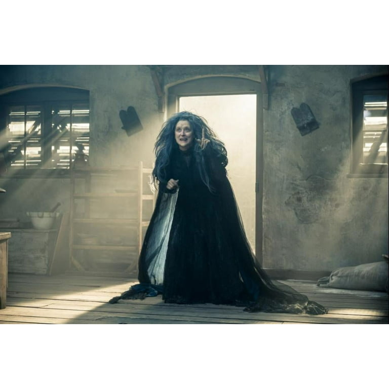 Amazon.com: Into the woods [Blu-ray] [Import anglais
