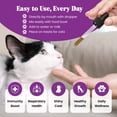 thumbnail image 2 of Special Breed L-Lysine for Cats & Kittens – Immune, Respiratory & Eye Health Support – Liquid Cat Supplement with Astragalus, Burdock, Atractylodes, Dangshen & Vitamins A, B1, B2, B6 – 2oz (60mL), 2 of 9
