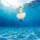 thumbnail image 2 of Flotador De Cloro Para Piscina, Dispensador De Cloro Flotante De Cisne Blanco, Dispositivo De Limpieza De Tabletas Purificadas Automáticas Para Piscina Kearding HA036533-00, 2 of 6