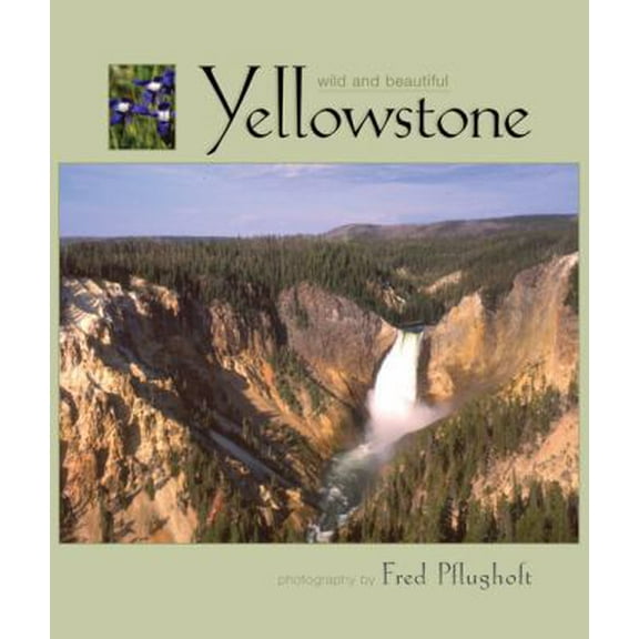 Pre-Owned Yellowstone Wild and Beautiful (Hardcover) 1560371463 9781560371465