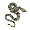 thumbnail image 1 of FELTECHELECTR Juguete de animal Amosfun, serpiente de simulación realista, broma de Halloween, serpiente aterradora, juguete de animal falso para coleccionar, accesorio educativo científico, 1 of 5