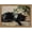 Black Cat, variant on Framed Vintage Hunting Black Dog Wall Art, Rustic Country Nature Landscape Pictures Wall Decor, Farmhouse Animal Paintings Canvas Prints Aesthetic Home Decor for Living Room Bedroom 8x10 inch