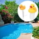 thumbnail image 5 of Termómetro de Piscina, Dispensador de Cloro en la Piscina Con forma de Pato Eficiente para el Estanques para la Piscina, 5 of 7