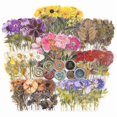 thumbnail image 1 of Pressed Flower Theme Stickers Set (320 Pieces) Dried Flowers Resin Stickers Decals Floral Botanical, 1 of 5
