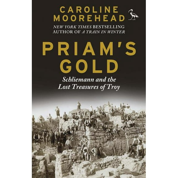 Priam's Gold: Schliemann and the Lost Treasures of Troy, (Paperback)