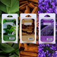 thumbnail image 6 of Hosley Set of 6 Assorted Wax Melts, Apple Cinnamon & Caribbean Breeze & Eucalyptus Mint & Lavender Fields & Rustic Sandalwood & Sweet Pea Jasmine, 6 Count, 6 of 10