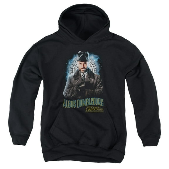 Fantastic Beasts 2 - Dumbledore - Youth Hooded Sweatshirt - Small