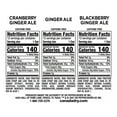 thumbnail image 6 of Canada Dry Winter Variety Pack 12 Fluid Ounce (Pack of 36), 6 of 6