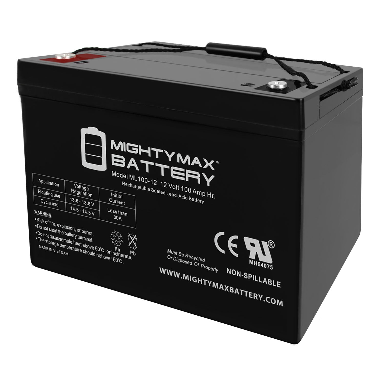 VMAX SLR100 12V 100Ah AGM Deep Cycle 12 Volt Battery for REC SOLAR Solar Panels 