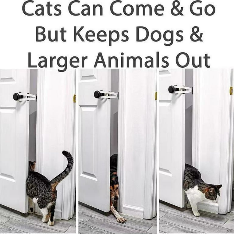 Keep dog out of litter box top