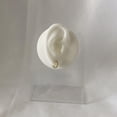 thumbnail image 2 of 2 pares molos silicona, parte l cuerpo reutilizable para exhibición aretes práctica, 2 of 9