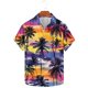 thumbnail image 5 of Camisas de Manga Larga para Hombres Moda Casual Floral Estampado Hawaiano Solapa Botón Superior, Ligero para Primavera Verano, 5 of 8