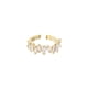 thumbnail image 1 of Jumpingount Anillo Abierto Irregularidad Anillos de oro Minoría Joyería de moda Mujeres San Valentín Bodas Aniversarios Cumpleaños Ropa, zapatos y accesorios Miscelánea Jumpingount AP016919-00, 1 of 6