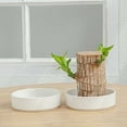 thumbnail image 4 of Bpyeka Brazilian Wood Tray White Ceramic Plates Desk Decoration Plants Pot Bottom,Home Improvement,Household Essentials, 4 of 4