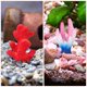 thumbnail image 5 of 6 piezas de corales artificiales para acuario, accesorios para pecera, paisaje de acuario, adornos de coral, 5 of 6
