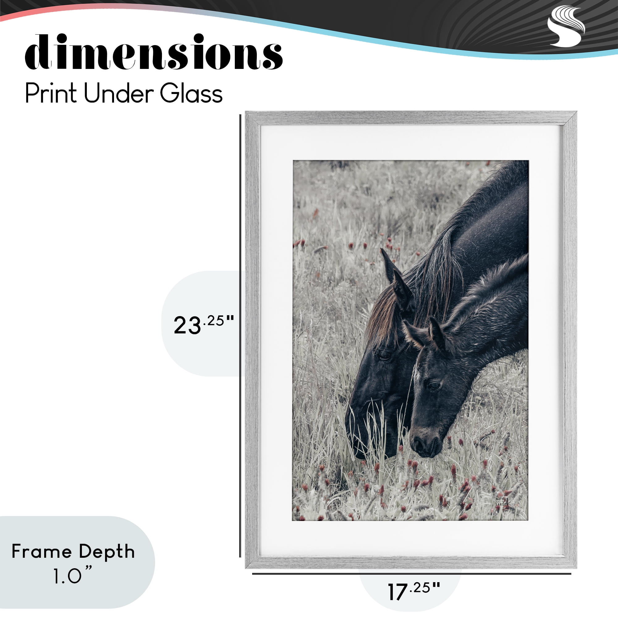 Stupell Industries New Graze Horses in Meadow Gray Framed Print Under Glass, design by Nathan Larson