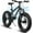 Black, variant on Ecarpat 20x4 Inch Fat Tire Mountain Bike,Dual Disc Brakes Suspension Fork, 7-Speed Boys Girls Mountain Bikes, All Terrain Kids Mountain Bikes for Boys and Girls 8-15 Years Old