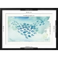 thumbnail image 5 of Art.com Sea Life I Art Print by Lisa Audit, Black Frame Wall Art, 23" x 17", 5 of 5