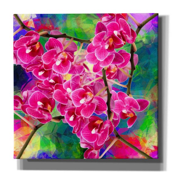 Epic Graffiti 'Flower Spring 2' by Ata Alishahi, Giclee Canvas Wall Art, 37"x37"