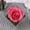 Pink, variant on Table Décor Enchanted Real Preserved Forever Rose in Clear Acrylic Box, Fresh-Cut Eternity Flower that Lasts Years, Valentine’s Day, Mother’s Day, Anniversary Gift for Her (Red)