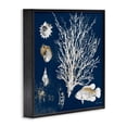 thumbnail image 2 of Stupell Industries Coastal Coral Medley on Navy Black Framed Giclee Art, 24 x 24, by Lanie Loreth, 2 of 8