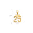 thumbnail image 2 of 14k Yellow Gold Number 25 Pendant for Men or Women, High Polish and Textured Finish, Unisex Milestone Necklace for 25th Birthday, Anniversary or Commemorative Jewelry, 2 of 4
