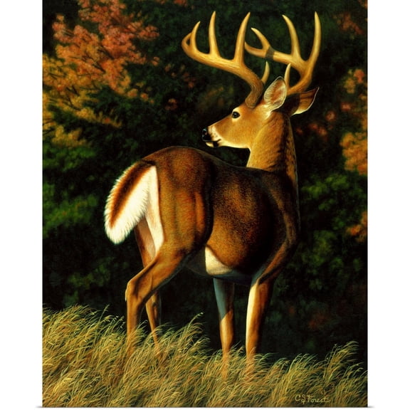 Great BIG Canvas | Rolled Crista Forest Poster Print entitled Indecision