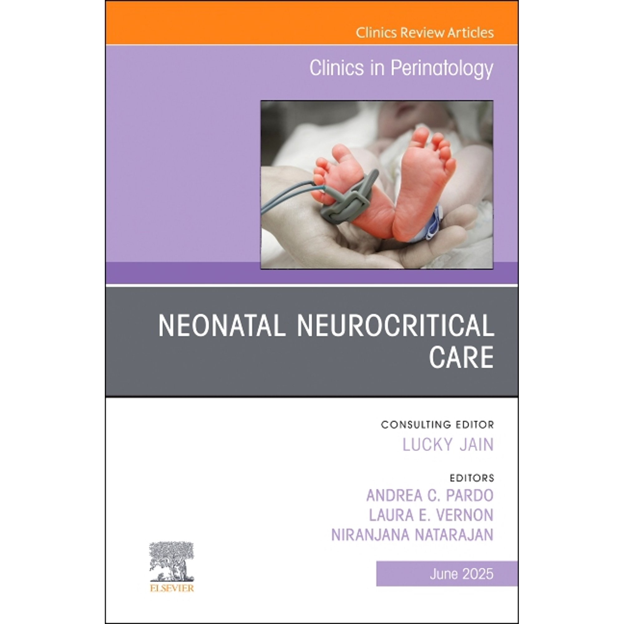 Clinics: Orthopedics Neonatal Neurocritical Care, an Issue of Clinics in Perinatology: Volume 52-2, Book 52, (Hardcover)