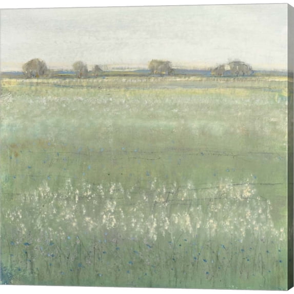 Great Art Now Green Meadow II by Timothy O'Toole, Canvas Wall Art, 24W x 24H