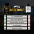 thumbnail image 6 of Coretribe Royal Shilajit Sea Moss Stamina Supplement with Ashwagandha, Tongkat Ali 400mg, Maca Root, Ginseng, Libido & Testosterone Booster for Energy Support (120 Capsules), 6 of 9
