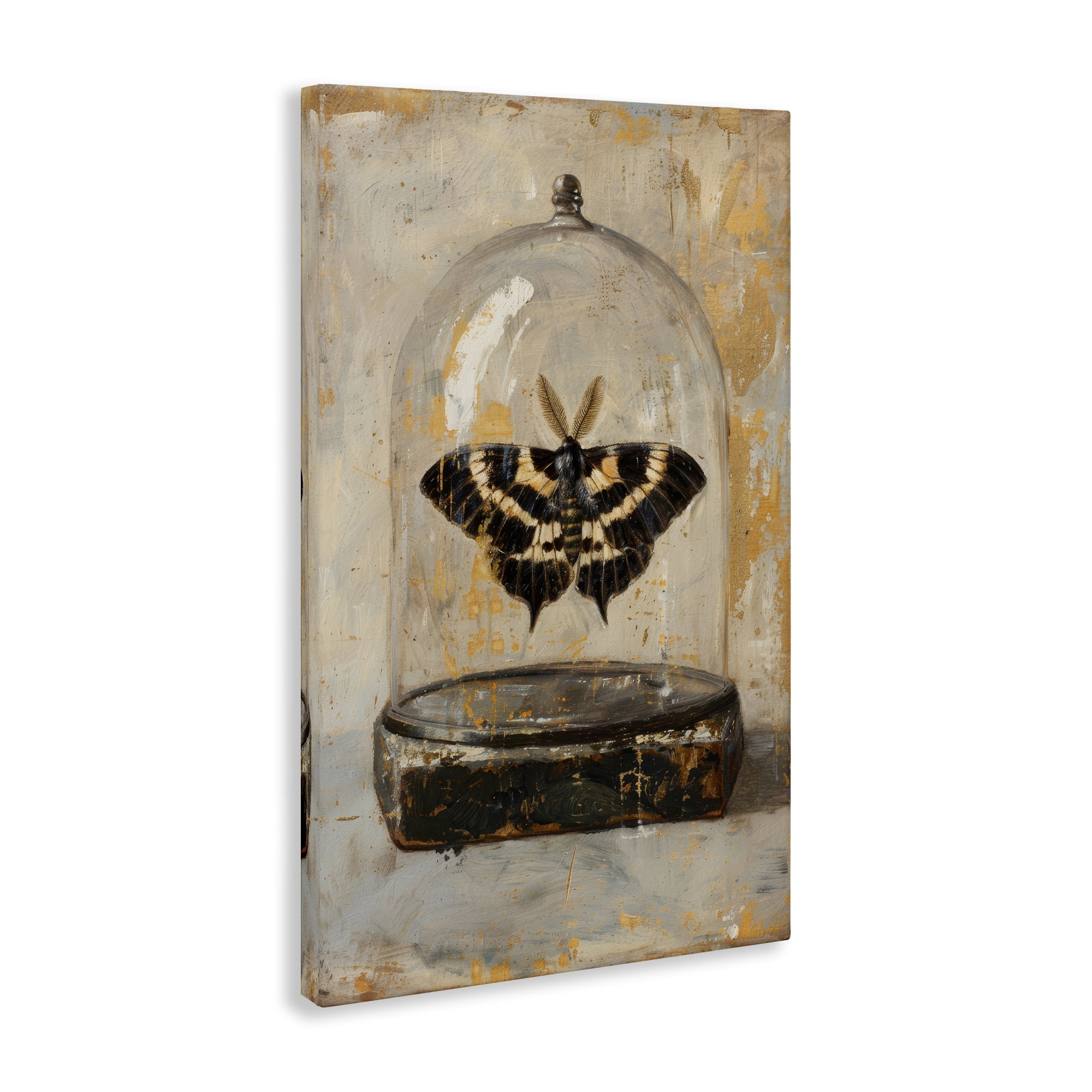 Stupell Industries Rustic Moth in Glass Animals Painting Wrapped Canvas Art Print Wall Art, 20 x 30