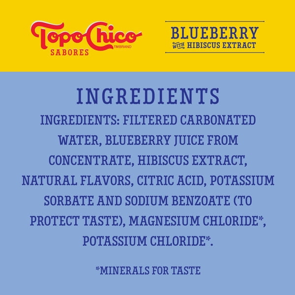 Topo Chico Sabores Blueberry with Hibiscus Extract Sparkling Water 16 Cans
