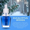 thumbnail image 3 of Better Homes & Gardens Aroma Accents Oil Refill 24 mL, Eucalyptus Woods, 3 of 6