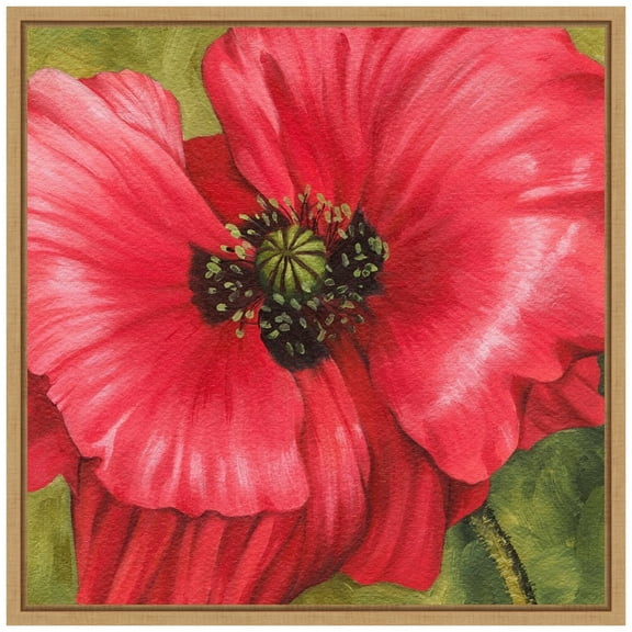 Amanti Art Vivid Poppy II Framed Canvas Wall Art Print