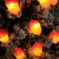 thumbnail image 5 of Fall Decor Lighted Fall Garland 6.6Ft 10 LED Thanksgiving Decorations Halloween String Lights, Friendsgiving Gift Thanksgiving Decor for Home Holiday Autumn Garland Indoor Fall Decorations, 5 of 8