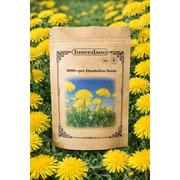 4000  Dandelion Seeds for Planting – Heirloom Non-GMO Taraxacum Officinale Seeds, Easy Grow Wildflower Lawn & Garden, Outdoor Yard Pollinator Friendly, loseedsoo