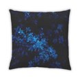 thumbnail image 2 of Ahgly Company Color Focus Blue Coussin d'Intérieur, 18 Pouces par 18 Pouces, 2 of 6