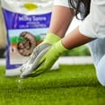 thumbnail image 6 of St. Gabriel Organics Milky Spore Granular Japanese Beetle Grub Control, 6 of 8