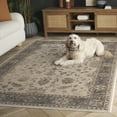 thumbnail image 3 of SAFAVIEH Vintage Ifrit Bordered Area Rug, Stone/Mouse, 2'7" x 4', 3 of 12