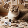 thumbnail image 4 of IFANLANDOR Urnes pour Chats Cendres Conteneur de Stockage de Cendres en Acier Inoxydable 1Pcs, 4 of 5