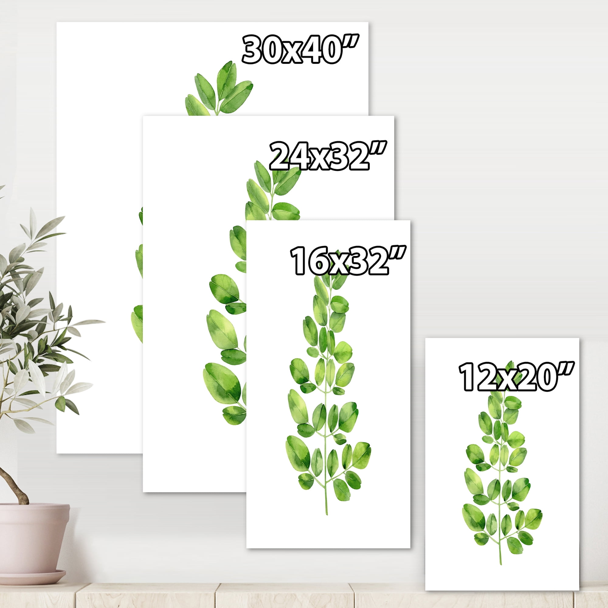 Designart ' Moringa Plant Branch Tropical Tree Foliage ' Farmhouse Canvas Wall Art Print