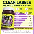 thumbnail image 3 of Biolore Grape Splash Sea Moss Gel, 8 oz – No Added Sugar, Vegan, Ready-to-Use Wildcrafted Sea Moss Gel with Monk Fruit, Smoothie & Food Add-In, 3 of 5