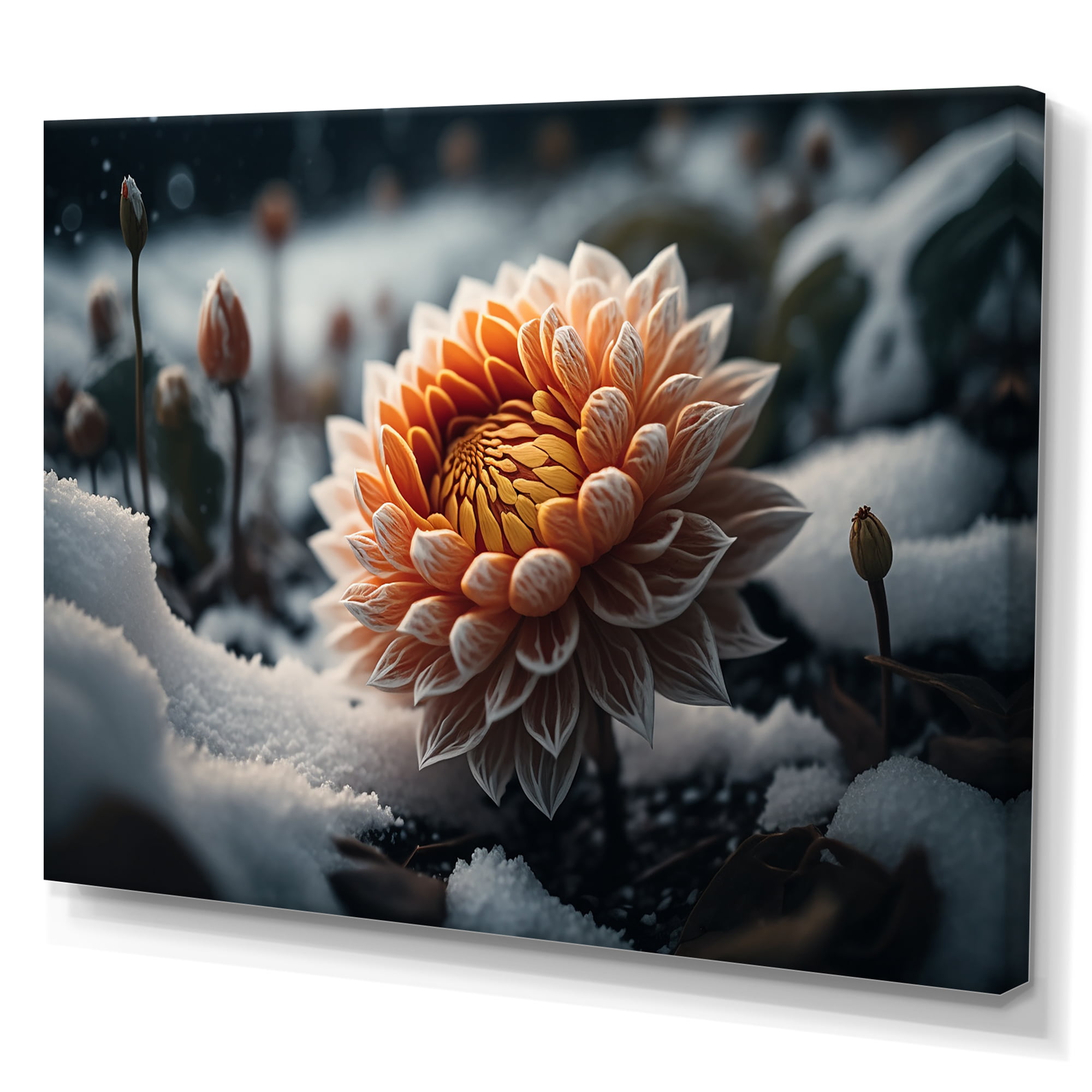 Designart A Blooming Orange Dahlia Flower In Winter III Canvas Wall Art ...