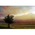 thumbnail image 2 of Vest, Christopher 24x17 Black Ornate Wood Framed with Double Matting Museum Art Print Titled - Tuscan Dawn Fox, 2 of 4