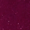 thumbnail image 6 of COVERGIRL Outlast All-Day Intense Lip Color And Gloss, Vivid Violet, 0.2 oz, 6 of 7